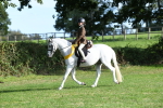 SBM_52082