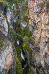 AB-Banff-Jasper-44