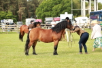 SBM_00515