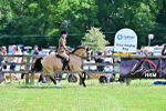 SBM_07911