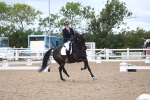 SBM_00445