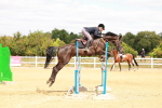SBM_006338
