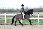 SBM_006875