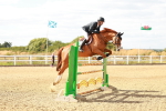 SBM_007528