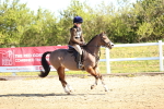 SBM_000459