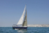 190629 FIREFLY GBR8078R D43A4460
