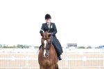 SBM_03233