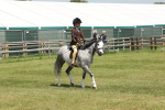 SBM_05350