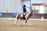 SBM_005895