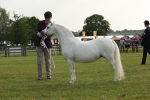 SBM_00525