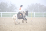 SBM_001036