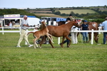 DSC_8424