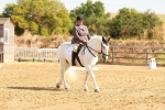 SBM_000329