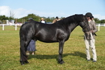 DSC05005