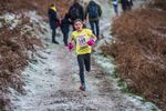 Sale Fell-44