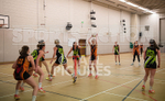 Netball_Blaze v Resolution-4