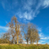Wimpole 23Nov20 - 7