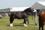 SBM_02351