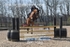 BPP_7369