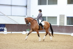 SBM_003791