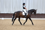 SBM_009231