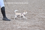 BPP_3468