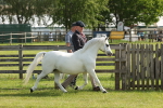 SBM_00632