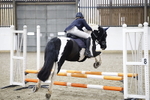 USJL Showjumping BCA 30.10.25 portfolio