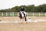 SBM_01496