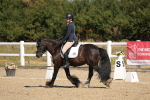 SBM_013537