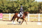 SBM_016831