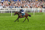 290723-Race 4-Blue Prince-3940