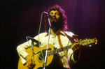CAT STEVENS