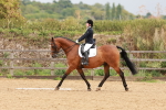 SBM_001950