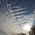 Dawn skies 5