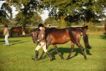 SBM_56895