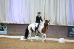 SBM_002193