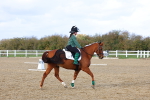 SBM_002313