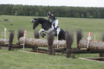 BVHT 140517  IXC -882