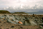 Criccieth