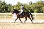 SBM_007655