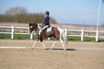 SBM_002036