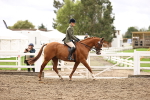 SBM_00545