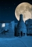 Moonlit Minkstone