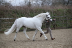 SBM_004025