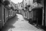 An original photograph by Paul Sandy - paulsandy.co.uk