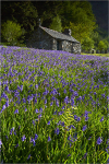 Ballachulish Blues