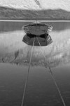 The Boat