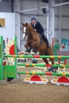 Class 23 - Redpost Equestrian Senior Foxhunter/ 1.20m Open - First Round (1.20m) portfolio