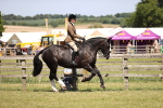 SBM_17846